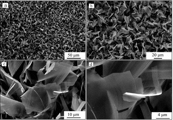 1-16050F92603529.jpg 1-16050F92603529.jpg